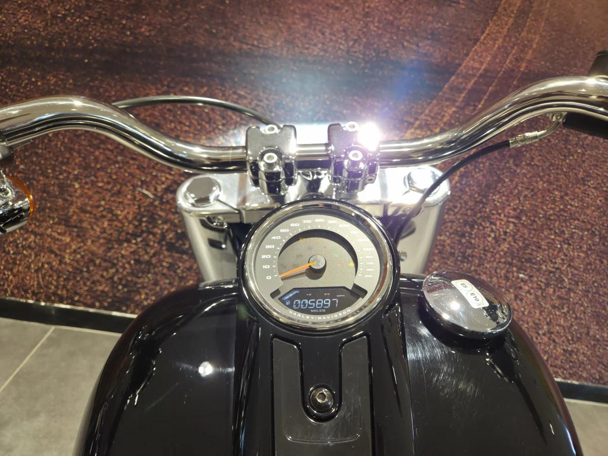 Harley-Davidson Softail Fatboy 114 - Image 25