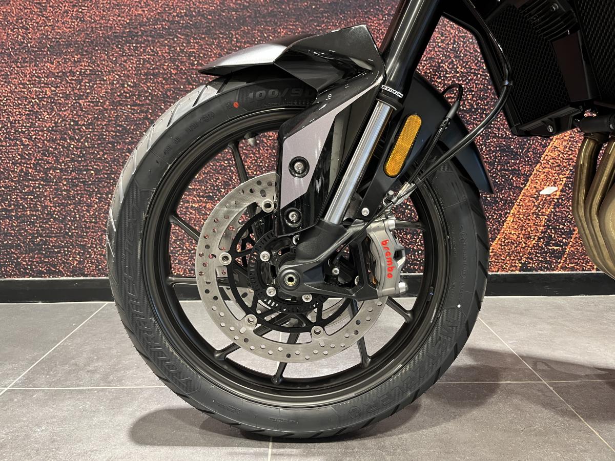 Triumph Tiger 900 GT Pro - Image 15