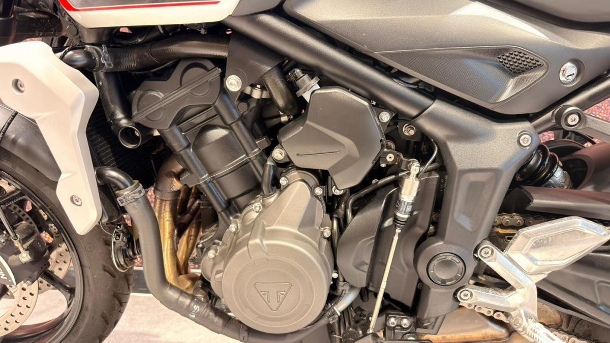 TRIUMPH Trident 660 - Image 11