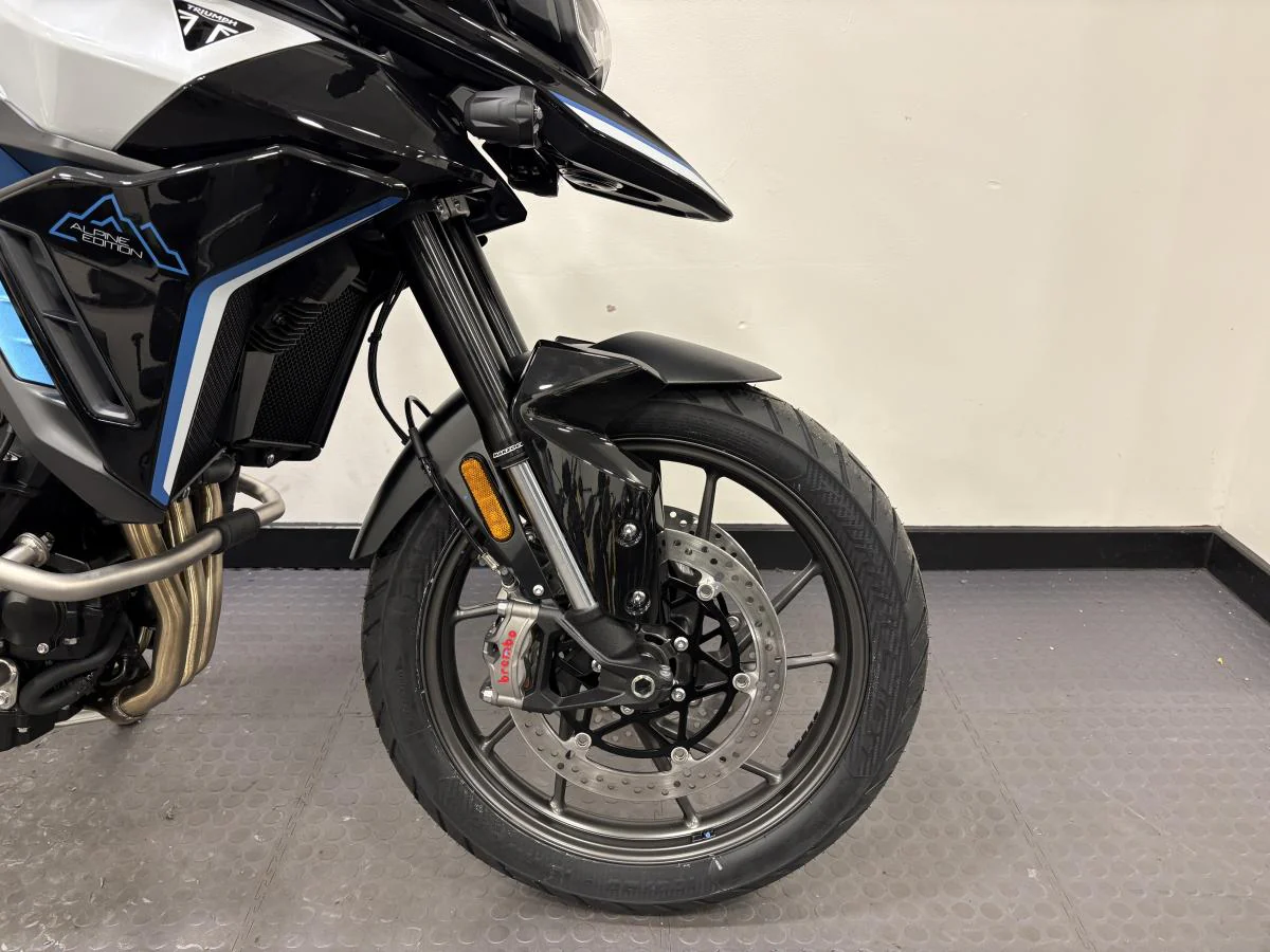 Triumph Tiger 900 Alpine Edition - Image 15