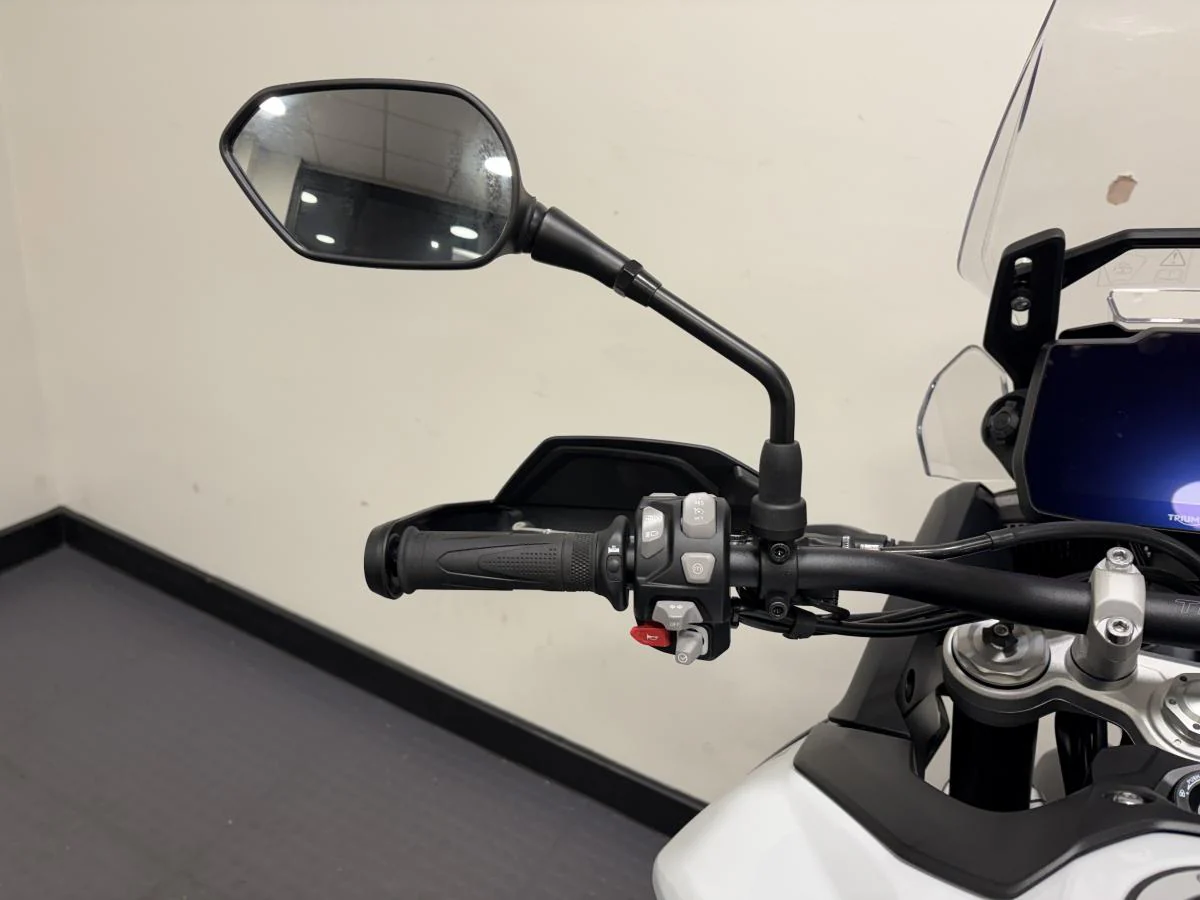 Triumph Tiger 900 Alpine Edition - Image 17