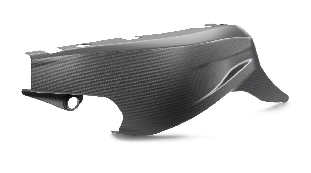 SWINGARM PROTECTION
